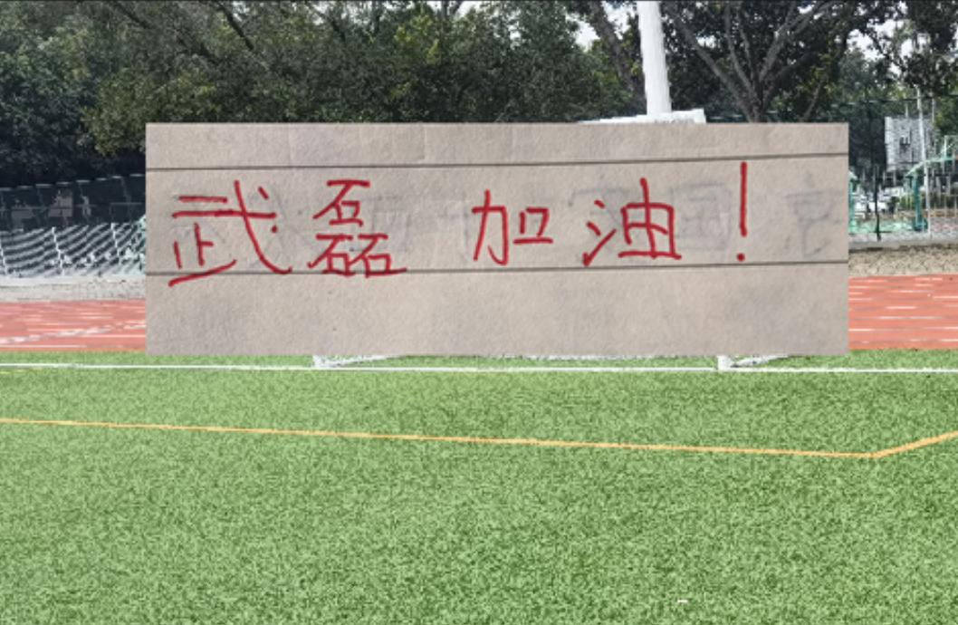 米体:罗马盯上萨默维尔,但转会费和薪资都太高